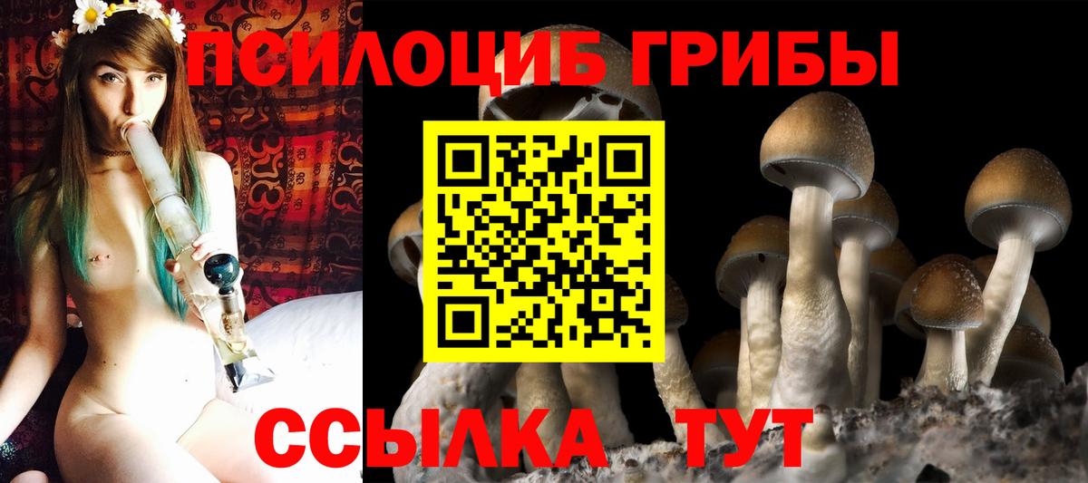 Лабинск  Псилоцибиновые грибы Psilocybe  где найти   Псилоцибиновые грибы ЛСД  Вход с VPN 