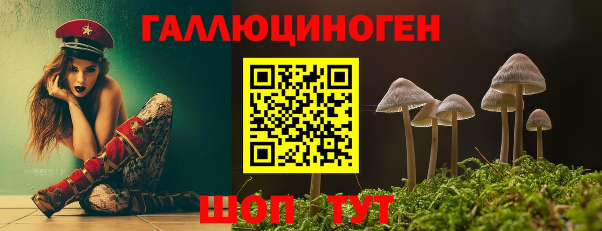 Галлюциногенные грибы Psilocybine cubensis Лабинск
